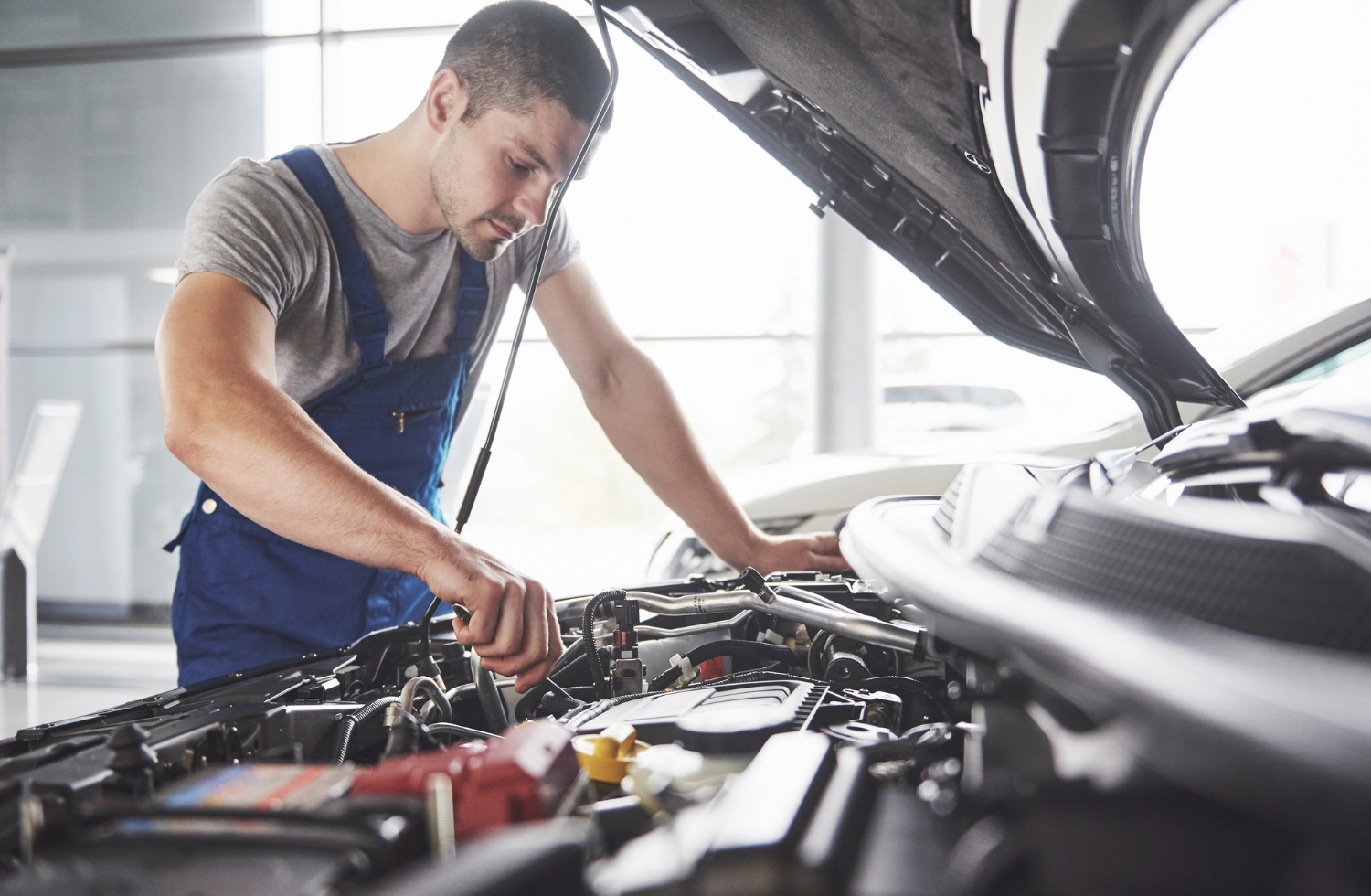 Oil Filter Replacement